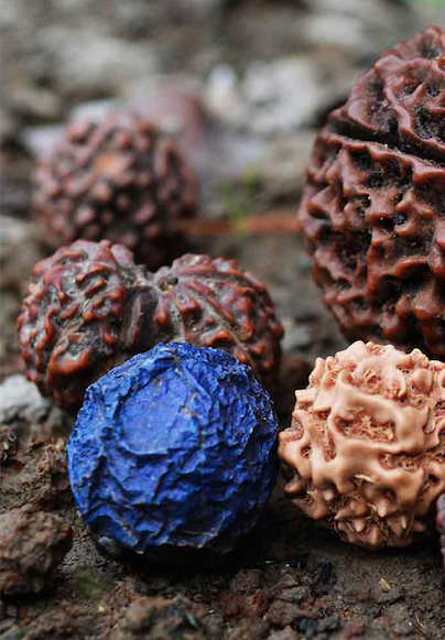 Understand more about Rudraksha : The different Mukhi and their meaning