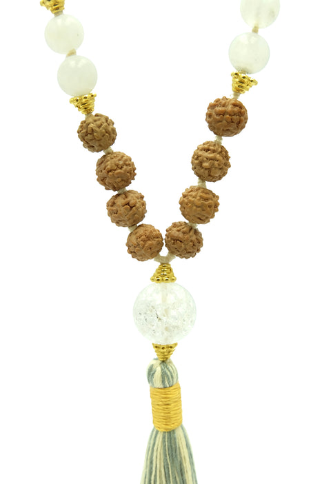 Shared Intention Set