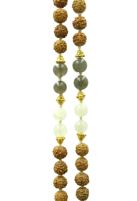 Shared Intention Set