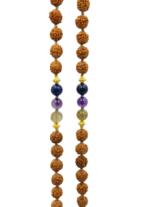 Shared Intention Set