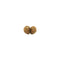 Mukhi Rudraksha