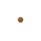 Mukhi Rudraksha
