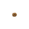 Mukhi Rudraksha