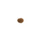 Mukhi Rudraksha