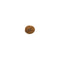 Mukhi Rudraksha