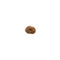 Mukhi Rudraksha