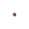 Mukhi Rudraksha