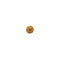 Mukhi Rudraksha