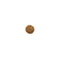Mukhi Rudraksha