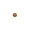 Mukhi Rudraksha
