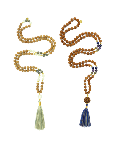 Shared Intention Set