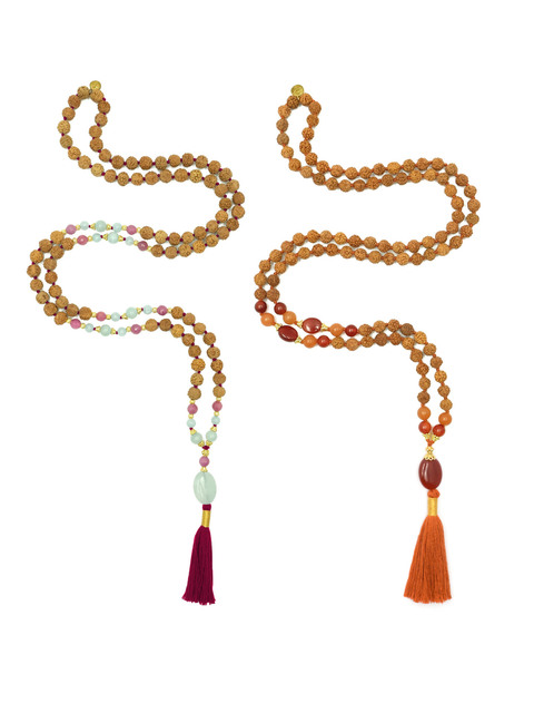 Two Paths, One Journey